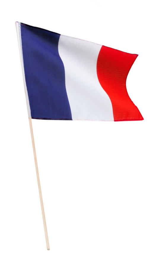 Drapeau de France avec bâton