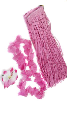 Déguisement Kit Hawaïenne
