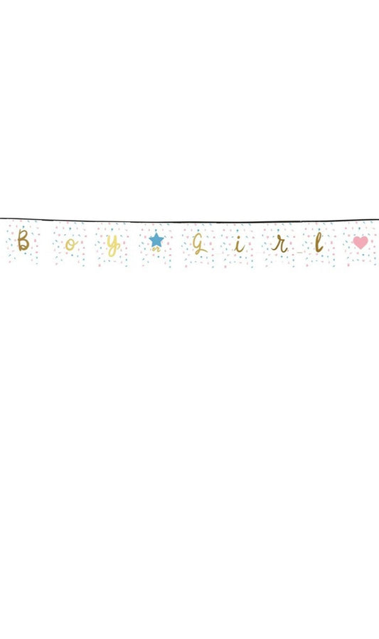 Guirlande Gender Reveal bébé