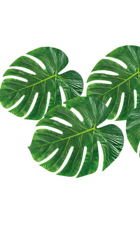 Feuilles de Palmier