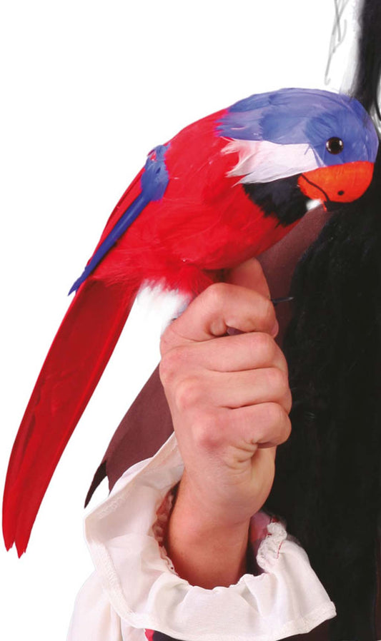 Perroquet Tropical