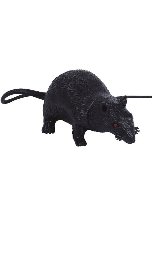 Rat noir Latex
