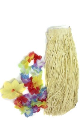 Déguisement Kit Hawaïenne